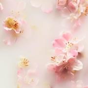 Rituals The Ritual of Sakura Floral Cherry Blossom & Rice Milk Conditioner 250ml