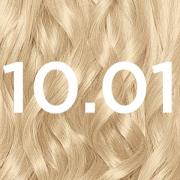 Garnier Nutrisse Permanent Hair Dye (forskellige nuancer) - 10.01 Baby Blonde (Holly's Shade)