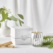 The White Company Fir Tree Mercury Luxury Votive Candle 170g