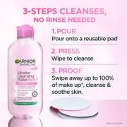 Garnier Skin Micellar Cleanse & Blemish Patch Bundle