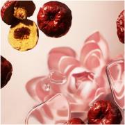 Rituals The Ritual of Jing Lotus Flower & Jujube Refill Hand Wash 600ml