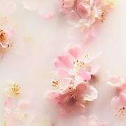 Rituals The Ritual of Sakura Rice Milk & Cherry Blossom Refill Hand Wash 600ml