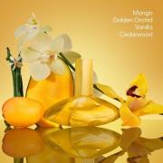 Calvin Klein Euphoria Solar Elixir Parfum Intense 100ml