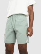 Rhythm Box Jam Shorts grøn
