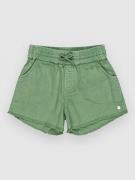 Roxy Scenroutwillrg Kids Shorts grøn