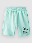O'Neill Future Surf Kids Shorts blå