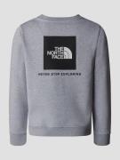 THE NORTH FACE Teen Redbox Regular Crew Kids Sweater grå