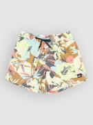 Quiksilver Everyday Printed Volley 15 Boardshorts