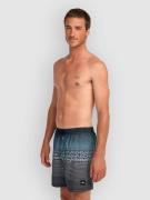 O'Neill Logo Stripe 16'' Boardshorts sort