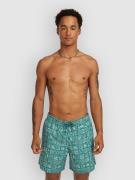 O'Neill Print 16'' Boardshorts blå