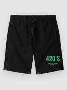 The Dudes Test Subject #1 Green Shorts sort