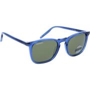 Delio Shiny Dark Blue Polariserede Solbriller