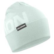 Hermitage Beanie