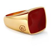 Men's Gold Signet Ring with Red Agate