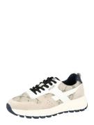 JOOP! Sneaker low 'Hanna'  beige / brun / sort / hvid