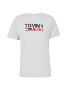 TOMMY HILFIGER Bluser & t-shirts  marin / lysegrå / rød / hvid