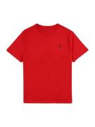 Polo Ralph Lauren Bluser & t-shirts  mørkeblå / rød