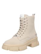 STEVE MADDEN Snørestøvletter ' Tanker'  creme