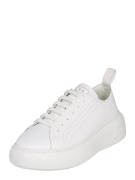 ARMANI EXCHANGE Sneaker low  hvid