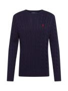 Polo Ralph Lauren Pullover 'Driver'  navy / rød