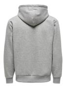 Only & Sons Sweatshirt 'Ceres'  grå-meleret