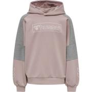 Hummel Sweatshirt  grå / pink