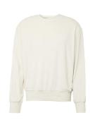 Calvin Klein Jeans Sweatshirt  hvid / æggeskal