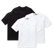 SCHIESSER Bluser & t-shirts  sort / hvid