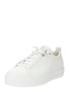 Paul Green Sneaker low  hvid