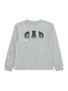 GAP Shirts  grå / antracit / sort