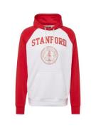 Champion Authentic Athletic Apparel Sweatshirt  rød / hvid