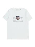 GANT Shirts  navy / grå / rød / hvid