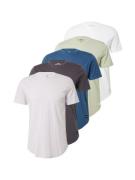 HOLLISTER Bluser & t-shirts  natblå / pastelgrøn / pastelpink / sort / hvid