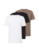HOLLISTER Bluser & t-shirts  brokade / sort / hvid