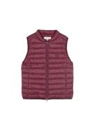 Scalpers Vest  bordeaux / burgunder