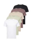 HOLLISTER Bluser & t-shirts  beige / lysegrøn / bær / sort / hvid