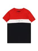 TOMMY HILFIGER Shirts 'ESSENTIAL'  marin / rød / hvid