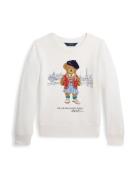 Polo Ralph Lauren Sweatshirt  mørkeblå / karamel / rød / hvid