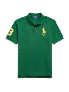 Polo Ralph Lauren Shirts  citron / mørkegrøn