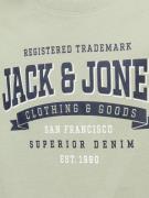 Jack & Jones Junior Shirts  blå / grøn / hvid
