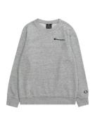 Champion Authentic Athletic Apparel Sweatshirt 'Legacy Icons'  navy / grå-meleret