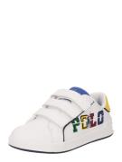 Polo Ralph Lauren Sneakers 'HERITAGE COURT EZ'  blå / grøn / rød / hvid