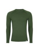 DANISH ENDURANCE Funktionsskjorte 'Merino'  grøn