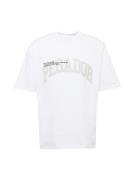 Pegador Bluser & t-shirts 'GILFORD'  beige / sort / hvid