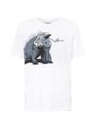 HUGO Bluser & t-shirts 'Dibeach'  grå / sort / hvid