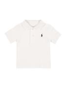 Polo Ralph Lauren Shirts  sort / hvid