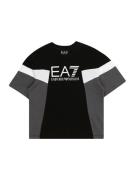 EA7 Emporio Armani Shirts  mørkegrå / sort / hvid