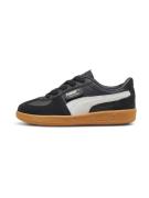 PUMA Sneakers 'Palermo'  lysegrå / sort / hvid