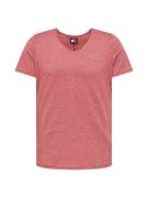 Tommy Jeans Bluser & t-shirts 'Jaspe'  rødmeleret
