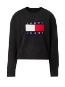 Tommy Jeans Pullover  navy / rød / sort-meleret / hvid